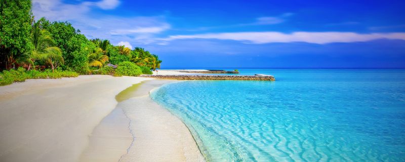 Palm-lined coastal walking path beside calm sea water